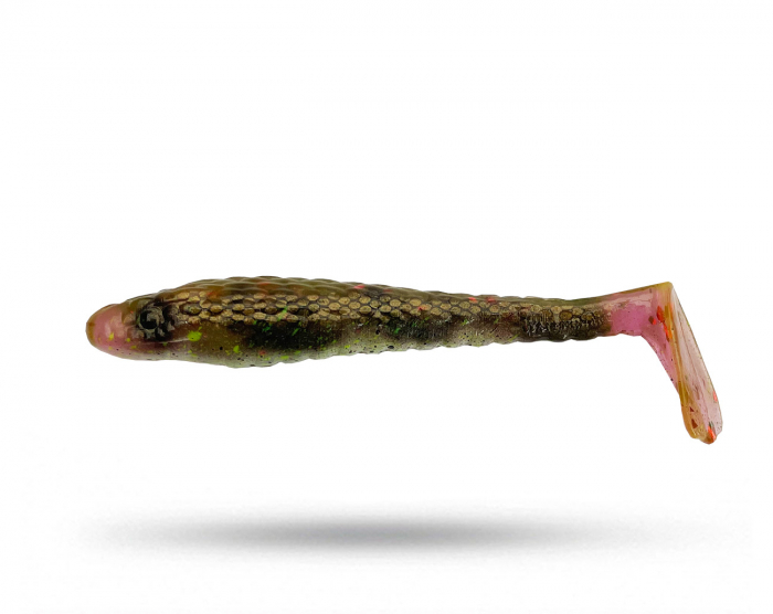 Waterquake Snake Shad 10 cm - Epic Mary 4 pk i gruppen Fiskedrag / Abborre & Gösjigg hos Örebro Fiske & Outdoor AB (Snake S10-Epic Mary)